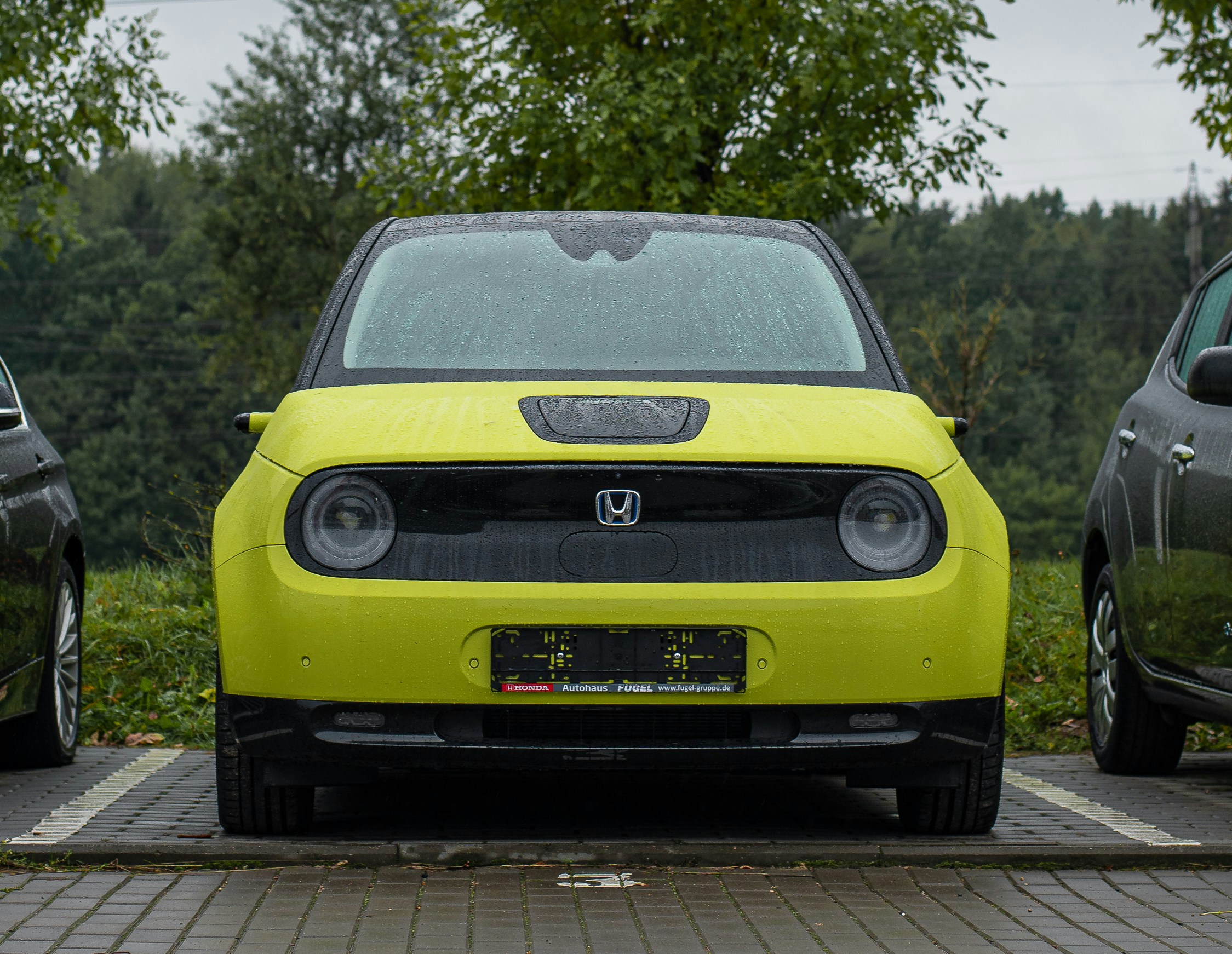 EV Delivery