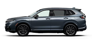 North Shore Honda in Glen Head NY